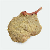 Veal Cutlet Crumbed - 300g