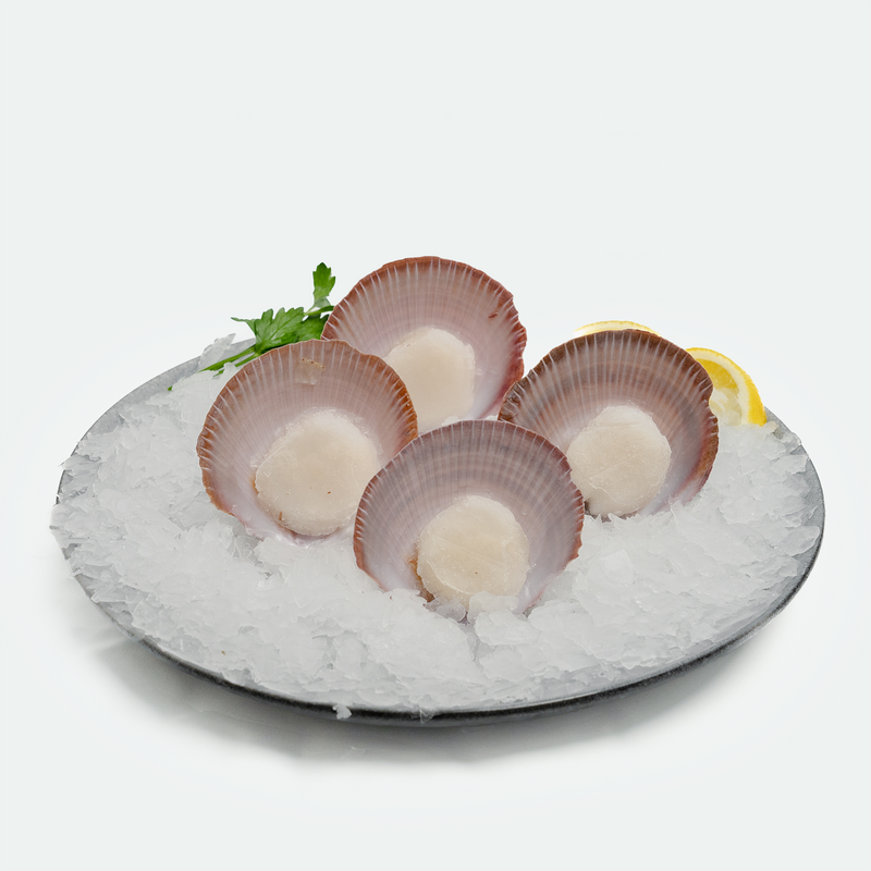 Scallops in Half Shell - 6 pieces