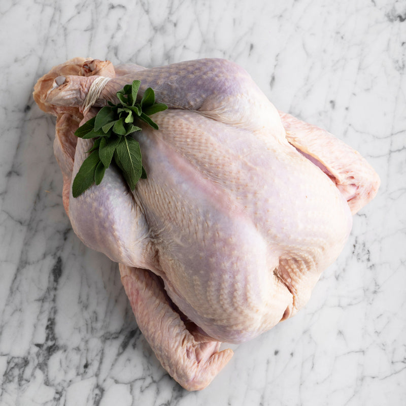 Free Range Whole Turkey