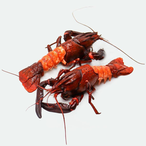 Delicious Western Australia Freshwater Marron 200 - 220g 2 Pieces - Vic's Meat